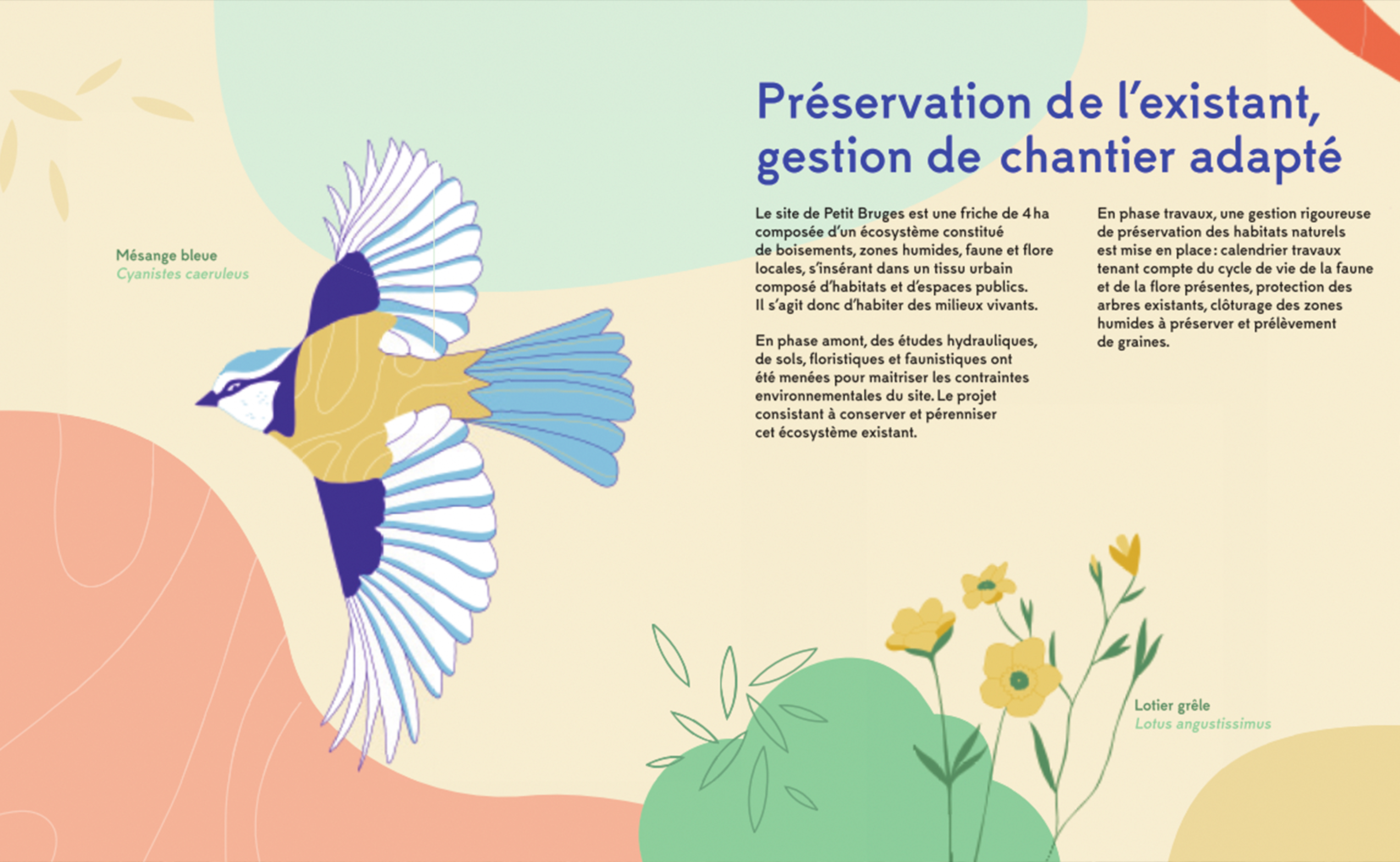 Ozio, illustration pour le supplément JUNKPAGE (3/9)