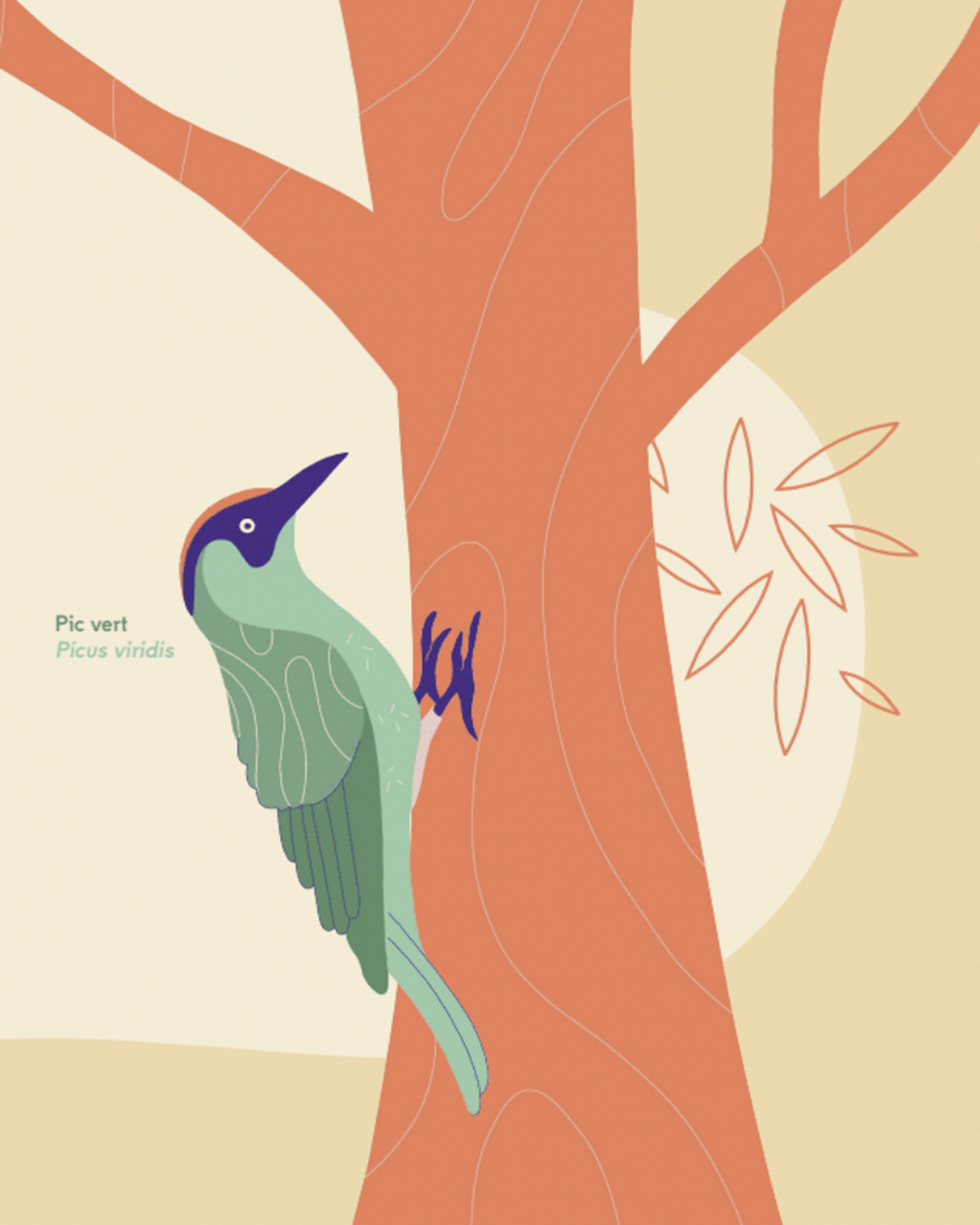 Ozio, illustration pour le supplément JUNKPAGE (3/9)
